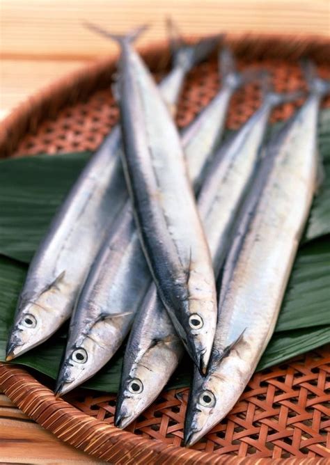 圓形的魚|最常見的50種食用魚，別再說你不認識，好好看看，你。